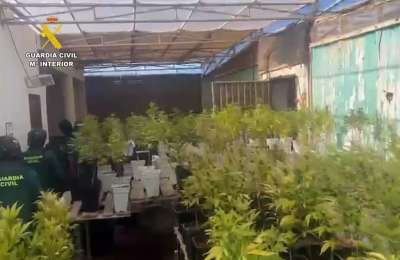 Strong smell leads to discovery of 1,300 cannabis plant nursery in Lanzarote