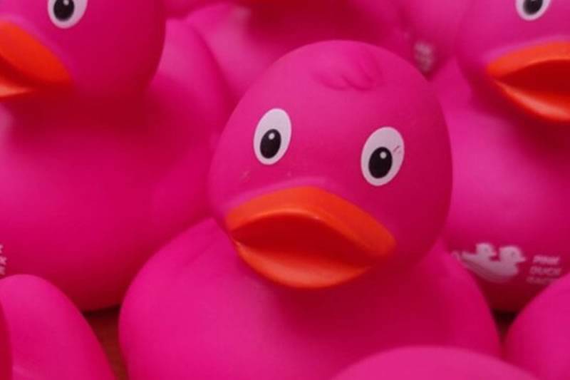 Thousands of pink rubber ducks to race in Tenerife for Breast Cancer awareness