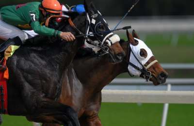 The Prestbury Cup: The rivalry between British and Irish stables