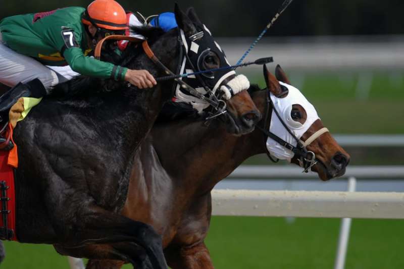 The Prestbury Cup: The rivalry between British and Irish stables