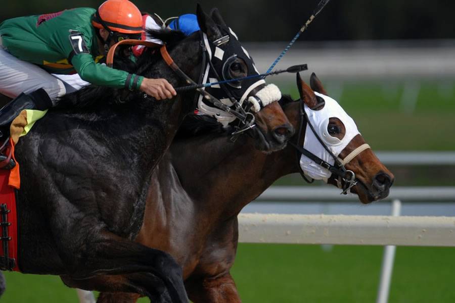 The Prestbury Cup: The rivalry between British and Irish stables