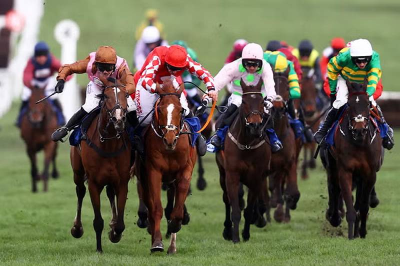 Best horse racing bars in Tenerife to watch the Cheltenham Festival