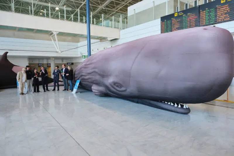 Biosphere Reserve opens whale and dolphin exhibition at Fuerteventura Airport
