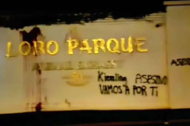 VIDEO: Anti-tourism activists carry out three violent acts in Tenerife 