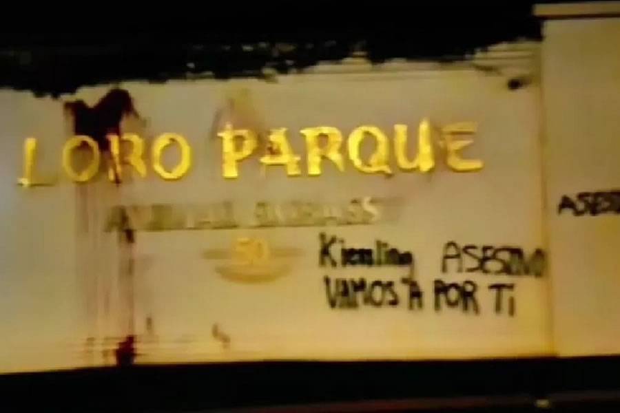VIDEO: Anti-tourism activists carry out three violent acts in Tenerife 