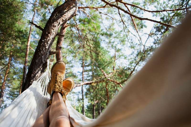 How to travel the Canary Islands Like a Nomad: A guide to some wild adventures