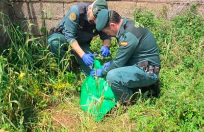 Suspect arrested after decapitated dog found at owner’s doorstep in Tenerife