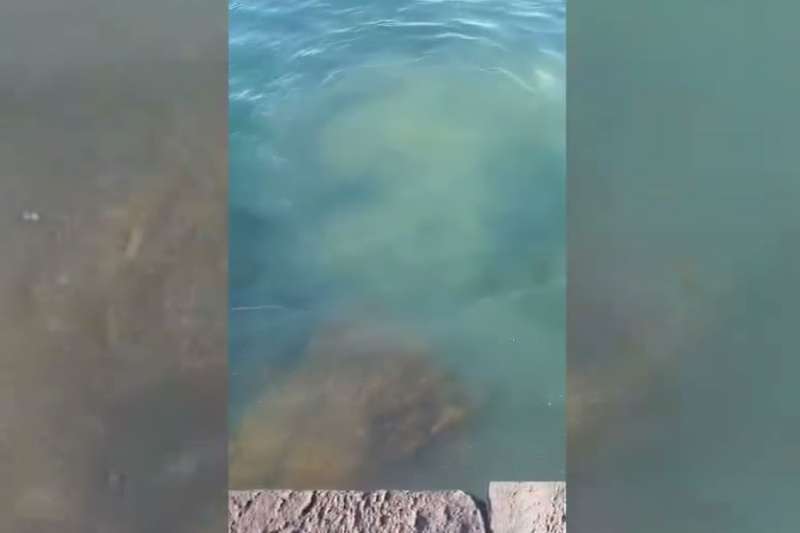 VIDEO: Holidaymaker records sewage discharge into the sea in broad daylight