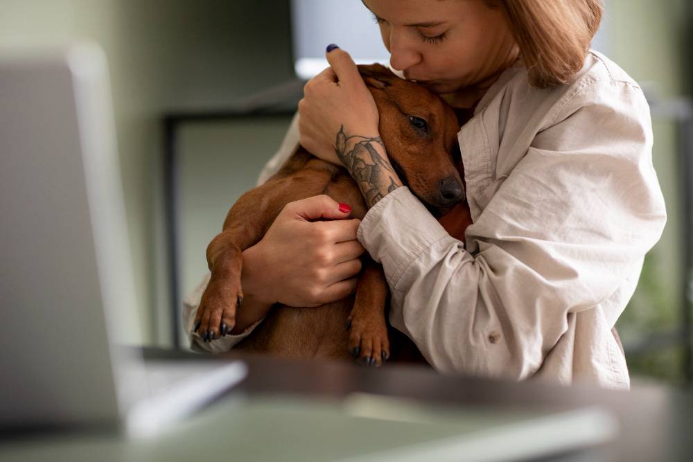 Which Pet Insurance Plan is Right for You? A Detailed Comparison