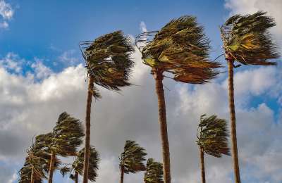 Canarian Government officially ends alert for strong winds as Storm Nuria moves on