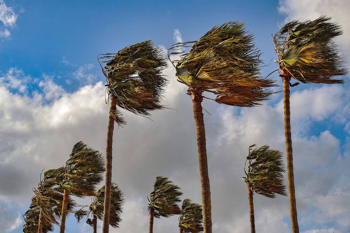 Canarian Government officially ends alert for strong winds as Storm Nuria moves on