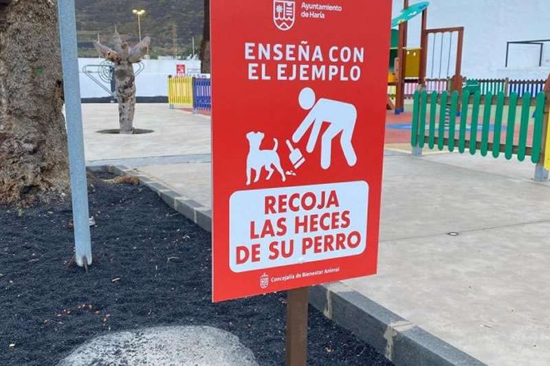 Haría Council launches campaign to encourage responsible pet ownership 