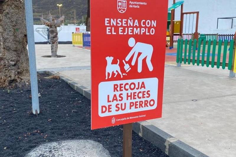 Haría Council launches campaign to encourage responsible pet ownership 