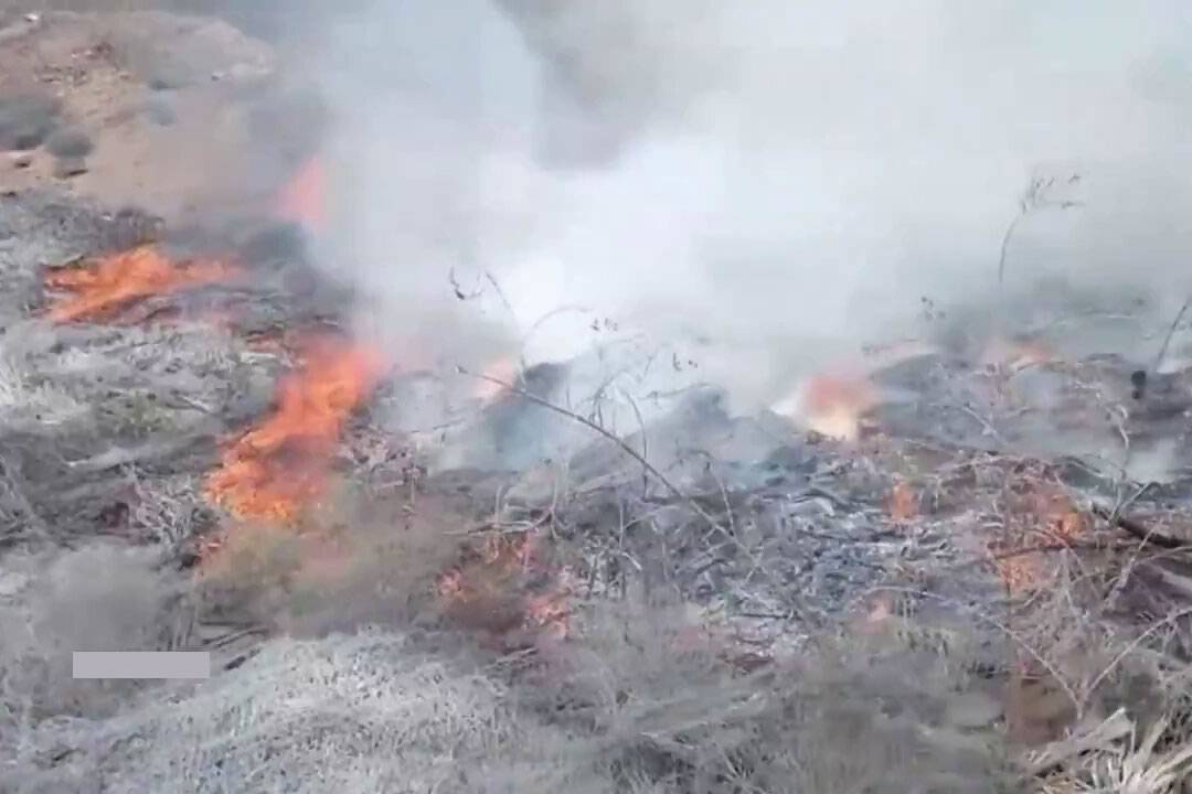 Wildfire sends thick smoke over TF-1 motorway in south Tenerife reducing visibility 