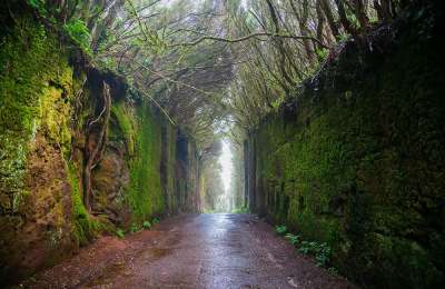 Hidden gems of the Canary Islands: Exploring beyond the beaches