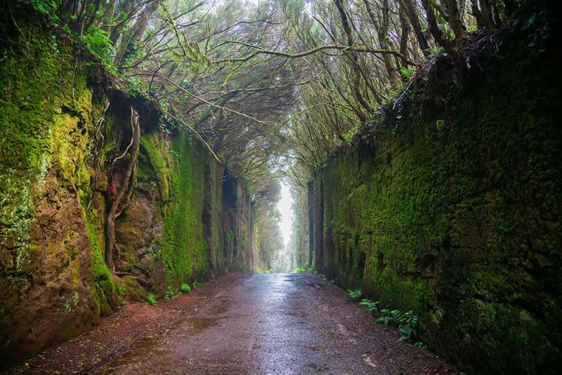 Hidden gems of the Canary Islands: Exploring beyond the beaches