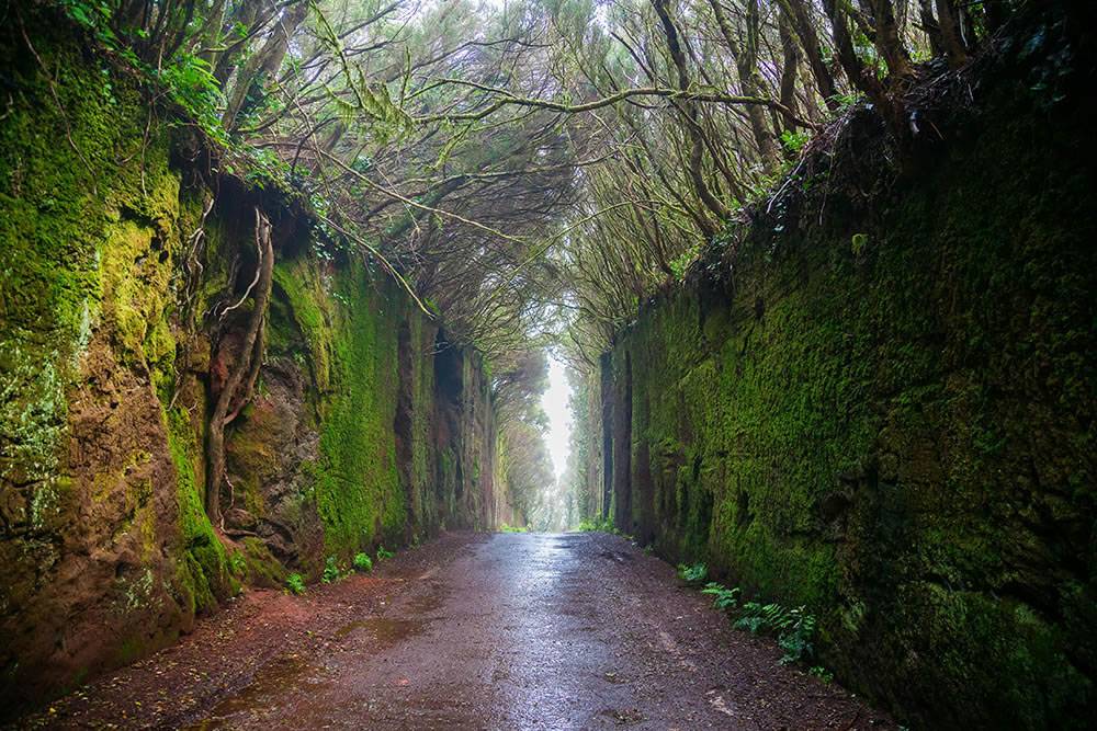 Hidden gems of the Canary Islands: Exploring beyond the beaches