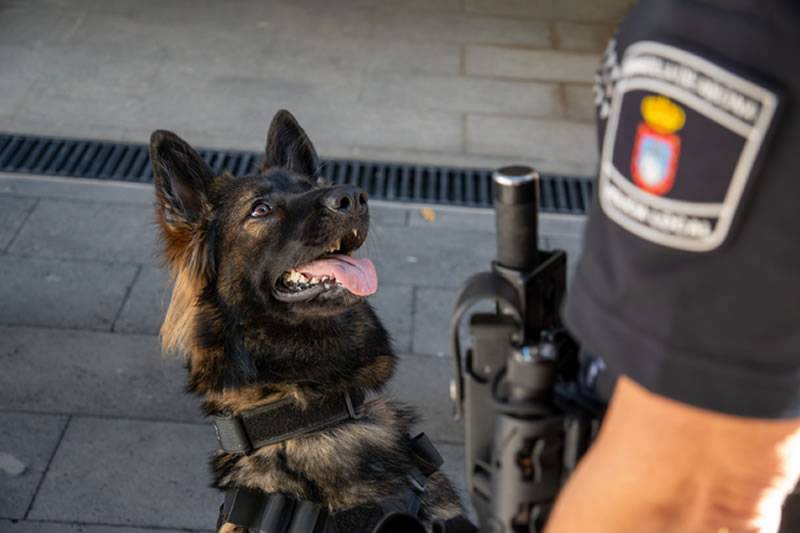 Man arrested in south Tenerife after drugs found hidden around his genital area
