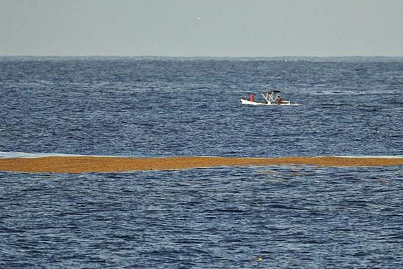 Large Brown Patch of Algae Approaches South Coast of Tenerife