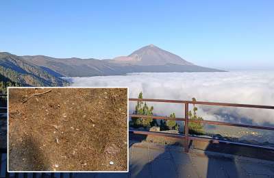 Anger over the amount of discarded cigarette butts at Tenerife’s most popular viewpoint