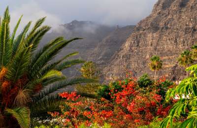 What locals really do in the Canaries at the weekend