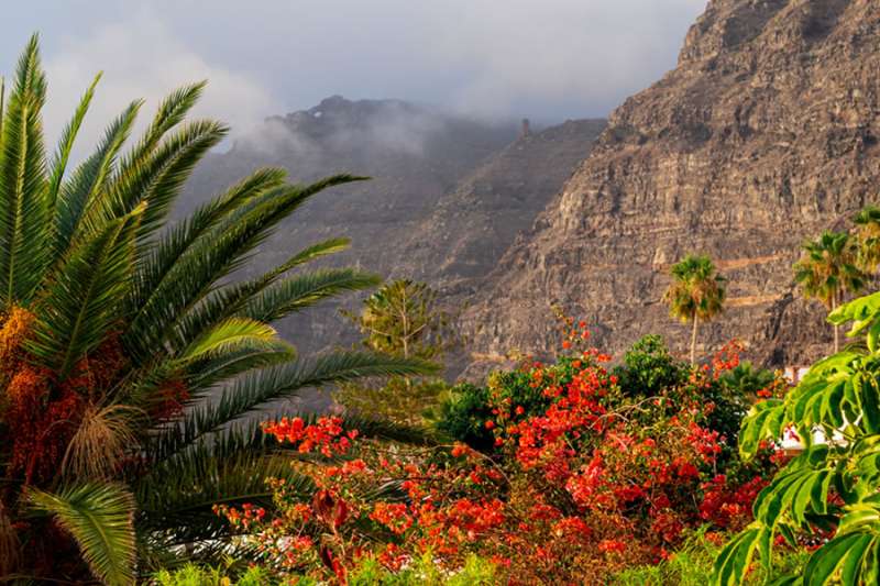 What locals really do in the Canaries at the weekend