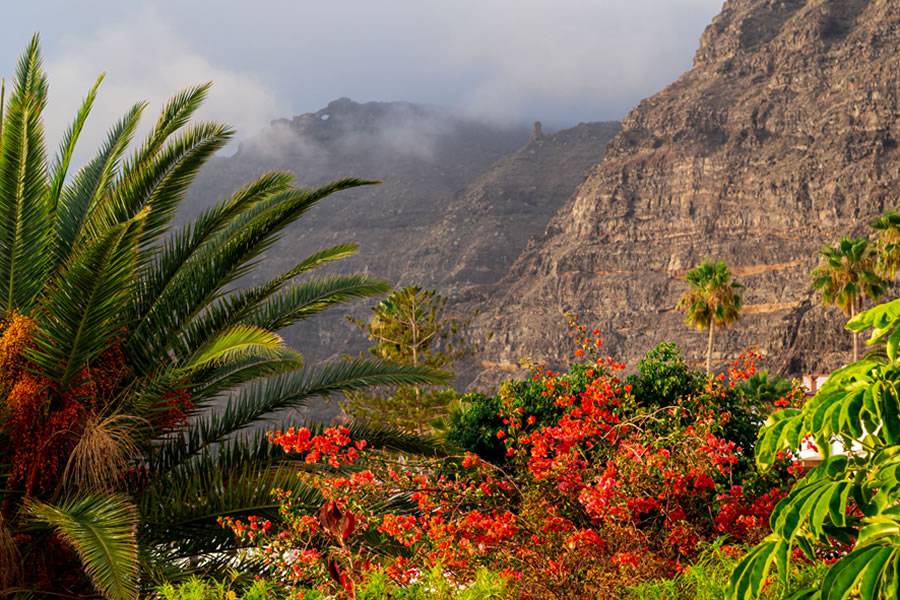 What locals really do in the Canaries at the weekend