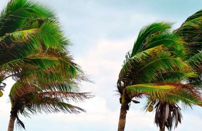 Government issues weather warnings for wind in five Canary Islands