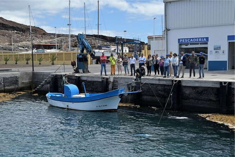 El Hierro Starts New Marine Tourism Programme