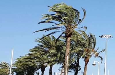 AEMET warns of strong winds across the Canary Islands this Wednesday