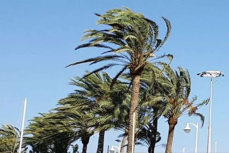 AEMET warns of strong winds across the Canary Islands this Wednesday