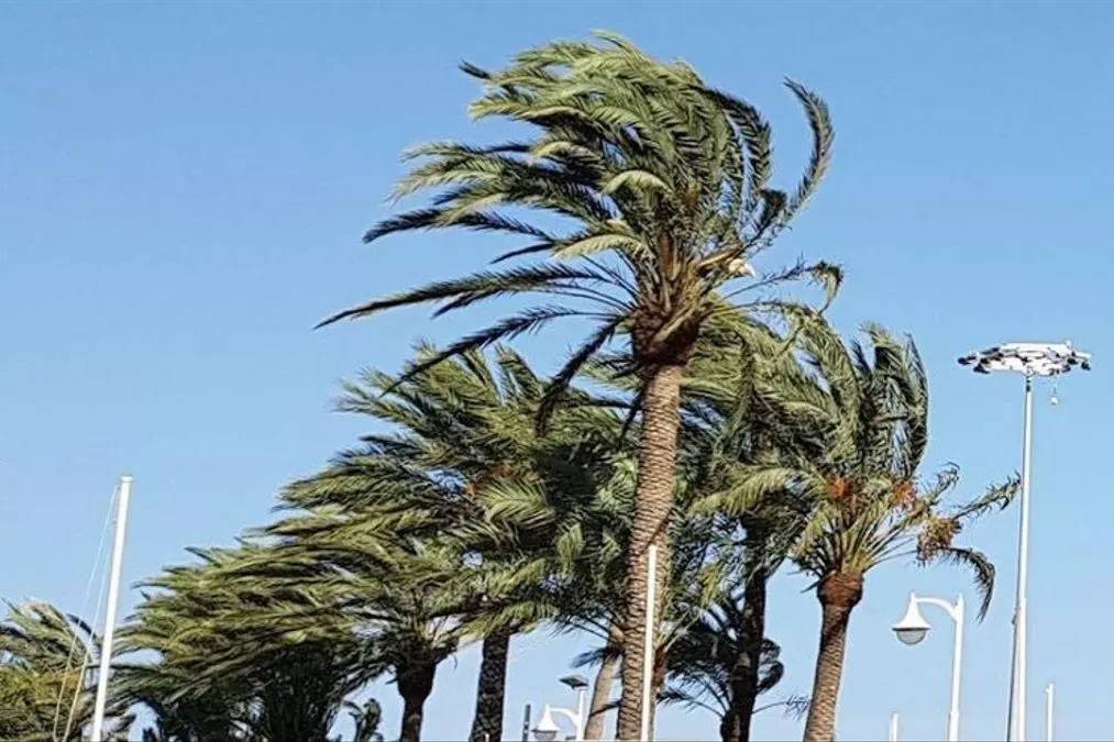 AEMET warns of strong winds across the Canary Islands this Wednesday