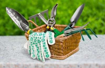 5 Innovative Garden Supplies You Didn’t Know You Needed