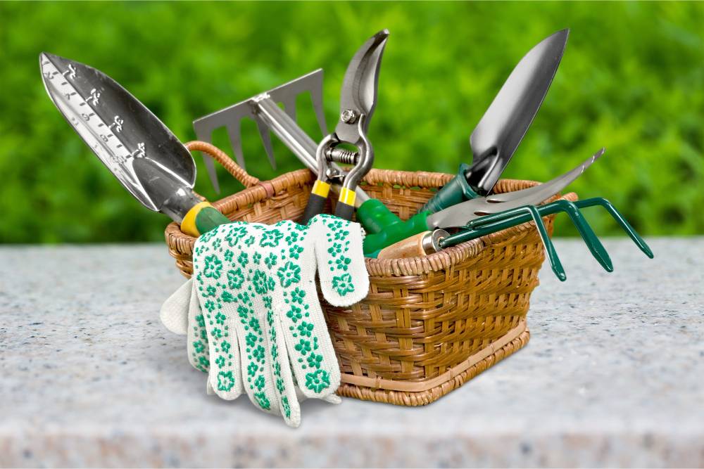 5 Innovative Garden Supplies You Didn’t Know You Needed