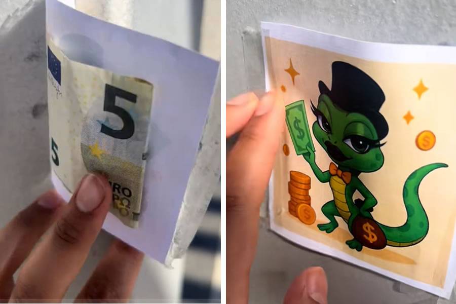 ‘Millionaire Lizard’ hides cash around south Tenerife sparking a social media frenzy