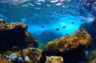 The first fully Marine National Park in Spain will be in the Canary Islands