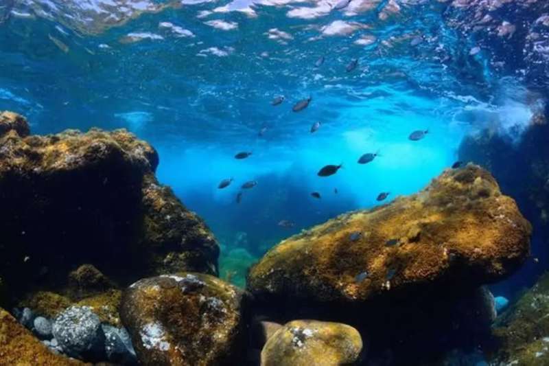 The first fully Marine National Park in Spain will be in the Canary Islands