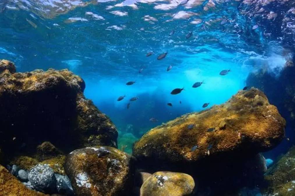 The first fully Marine National Park in Spain will be in the Canary Islands