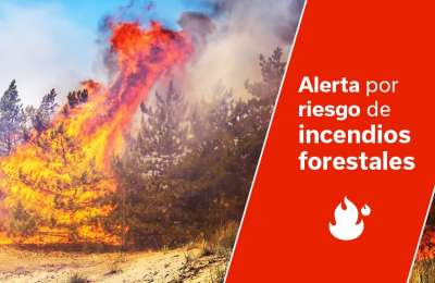 Pre-alert for forest fires issued on five islands by the Canary Islands Government