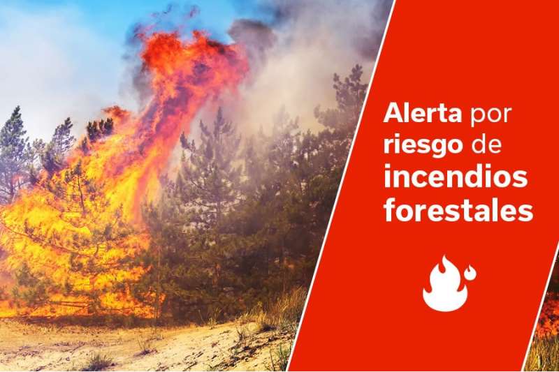Pre-alert for forest fires issued on five islands by the Canary Islands Government