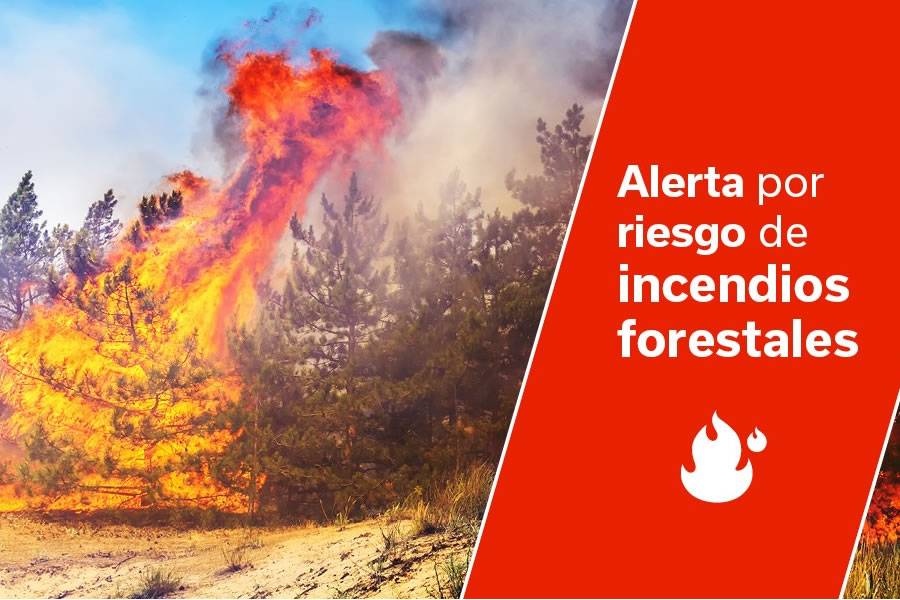 Pre-alert for forest fires issued on five islands by the Canary Islands Government