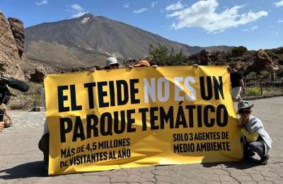 Small group stages protest at Mount Teide despite official postponement