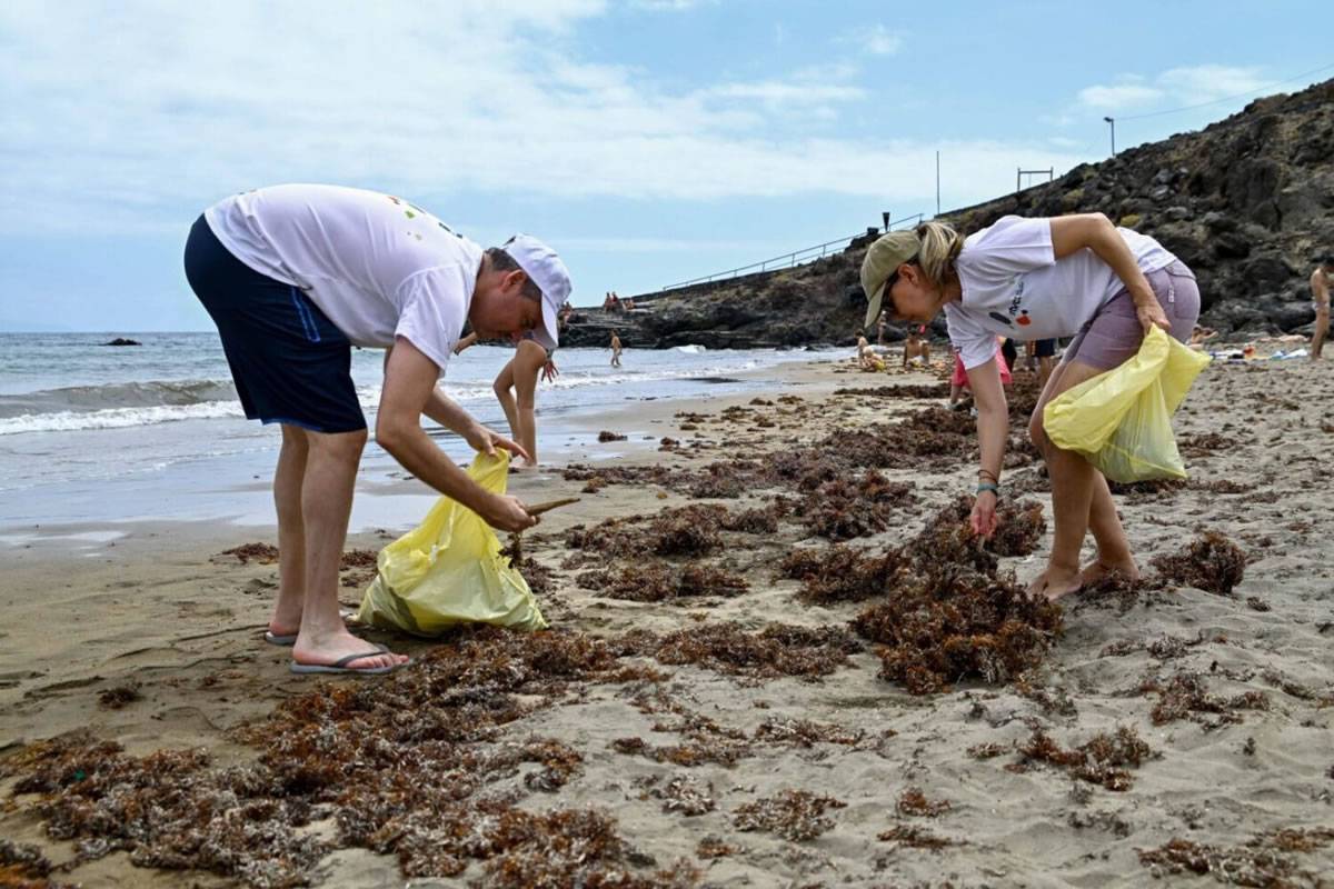 Over 1,000 volunteers join coastal clean-up across Tenerife for World Oceans Day