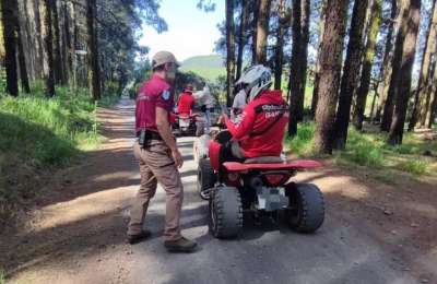 Fresh crackdown on damage to Protected Natural Areas in Tenerife