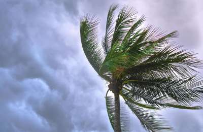 Strong northeasterly winds expected in the Canary Islands this Friday