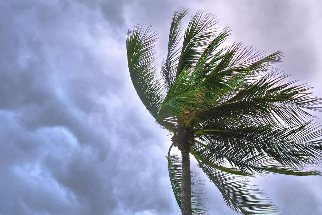 Strong northeasterly winds expected in the Canary Islands this Friday