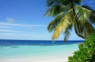 How to keep busy while lounging on a Canary Island beach: Fun ideas for active travellers