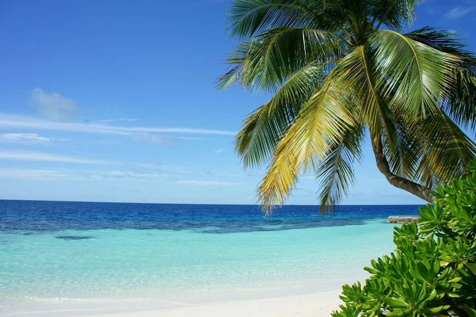 How to keep busy while lounging on a Canary Island beach: Fun ideas for active travellers
