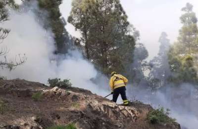 Gran Canaria bans BBQs in recreational areas amid forest fire alert