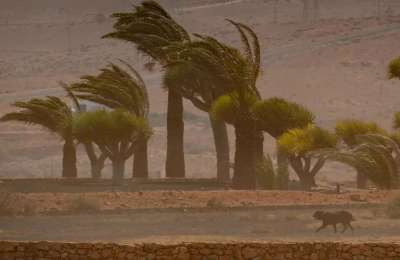 AEMET issues warnings for strong winds and a drop in temperatures across the Canary Islands